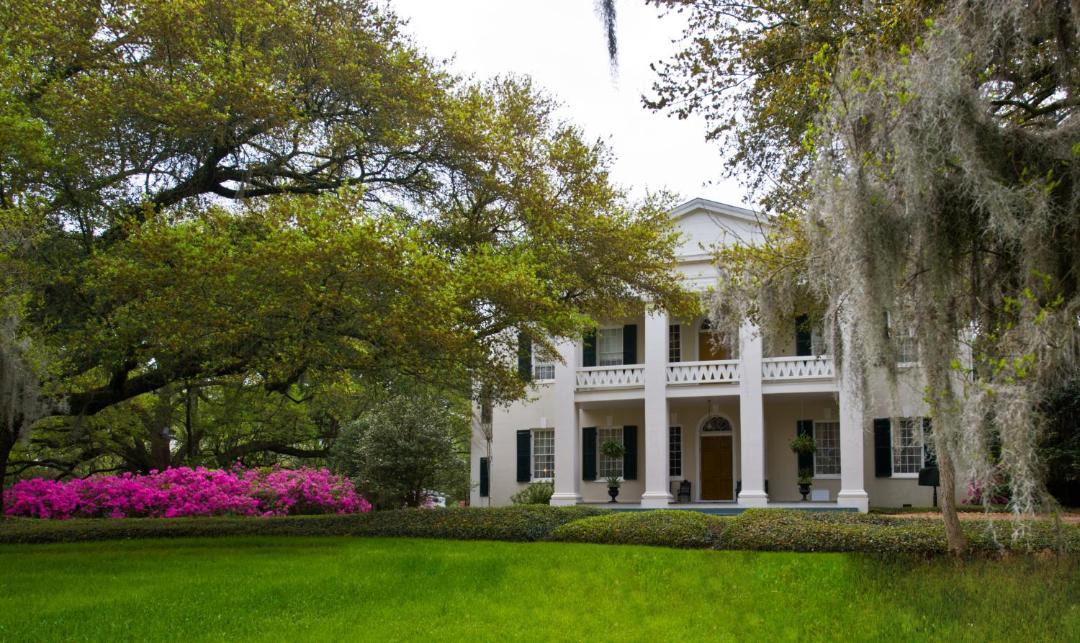 Photo of Others in Natchez