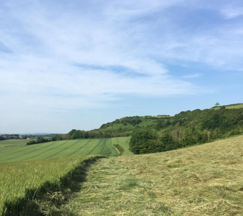 Photo of Outdoor in Samer