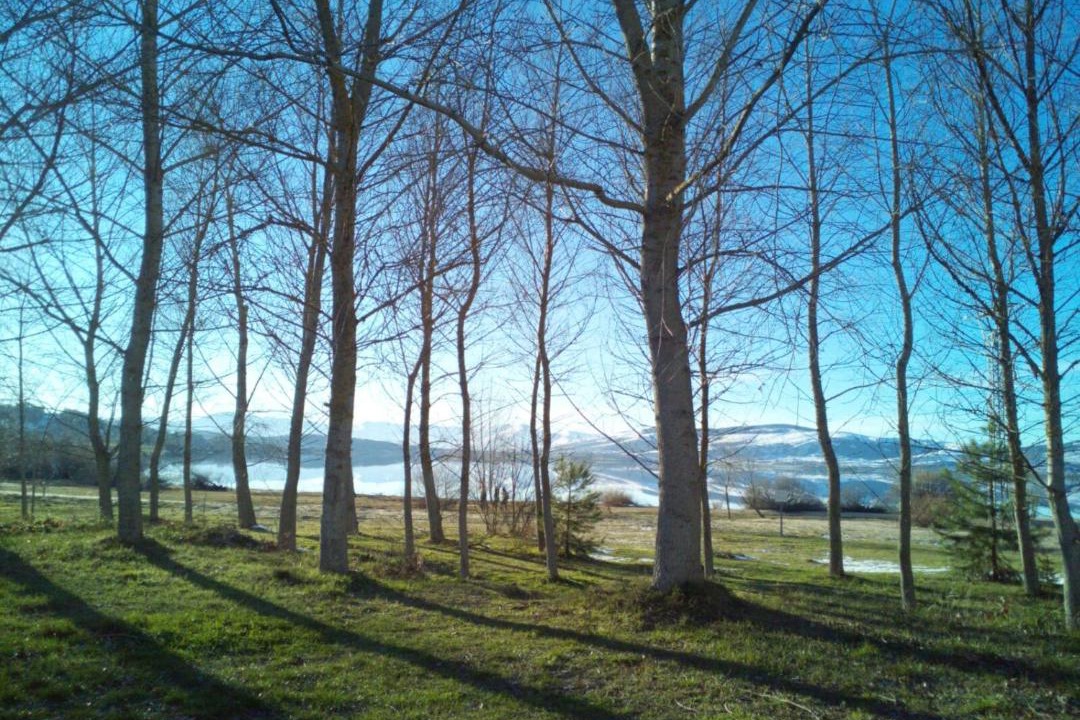 Photo of Others in Arija
