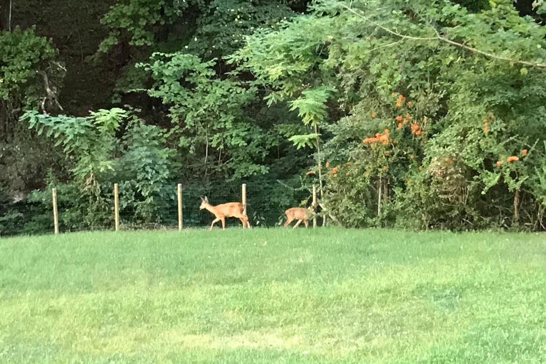 Photo of Others in Dieulefit