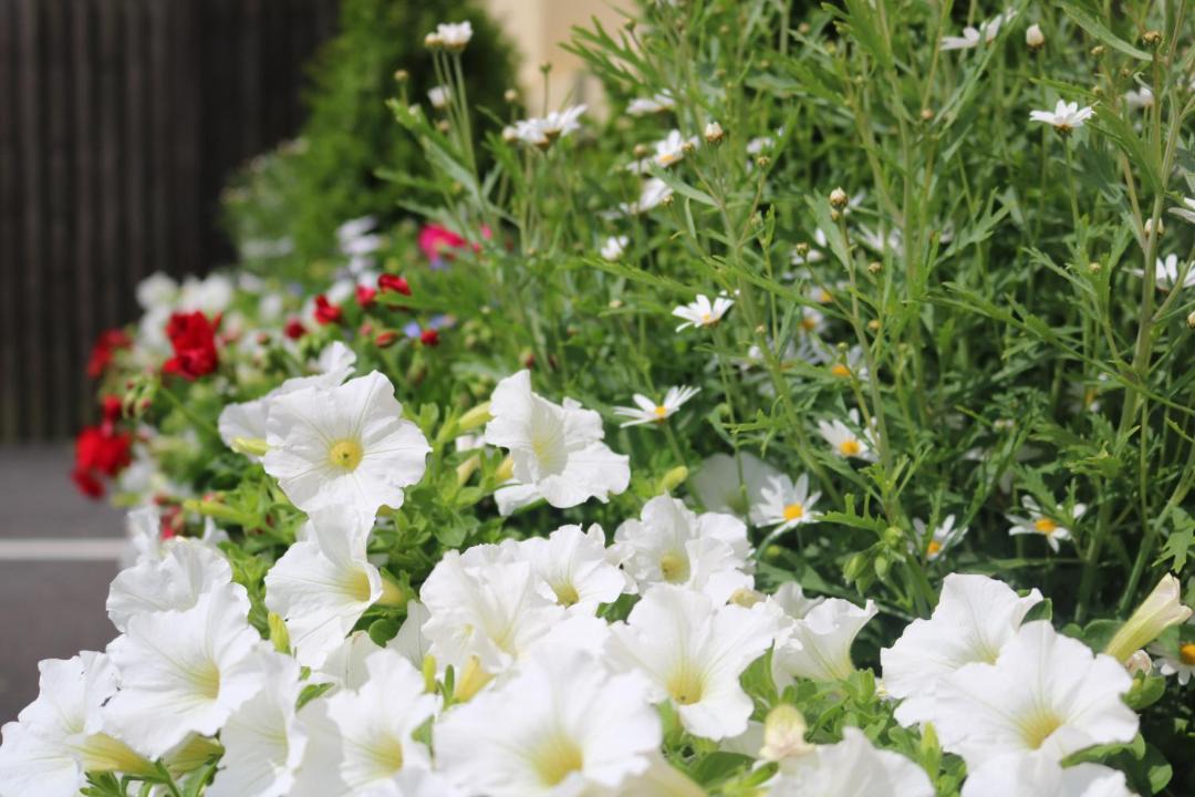 Photo of Others in Tunley