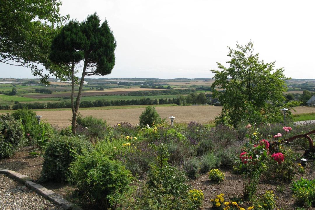 Photo of Others in Svenstrup