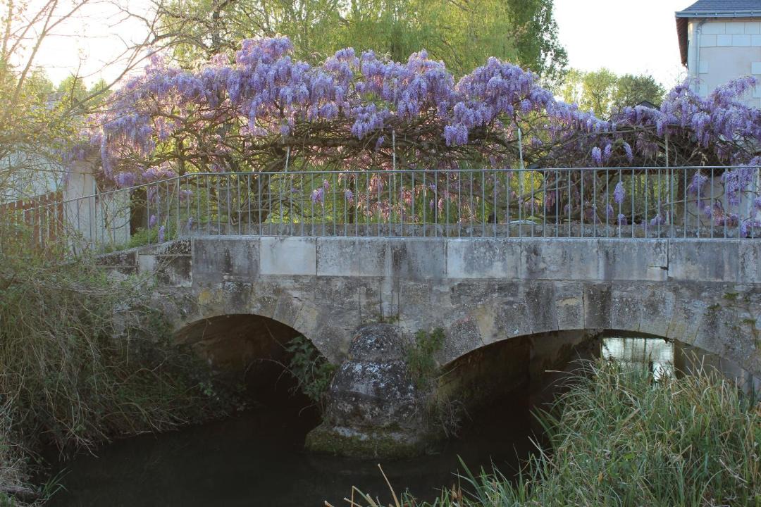 Photo of Others in Champigny-sur-Veude