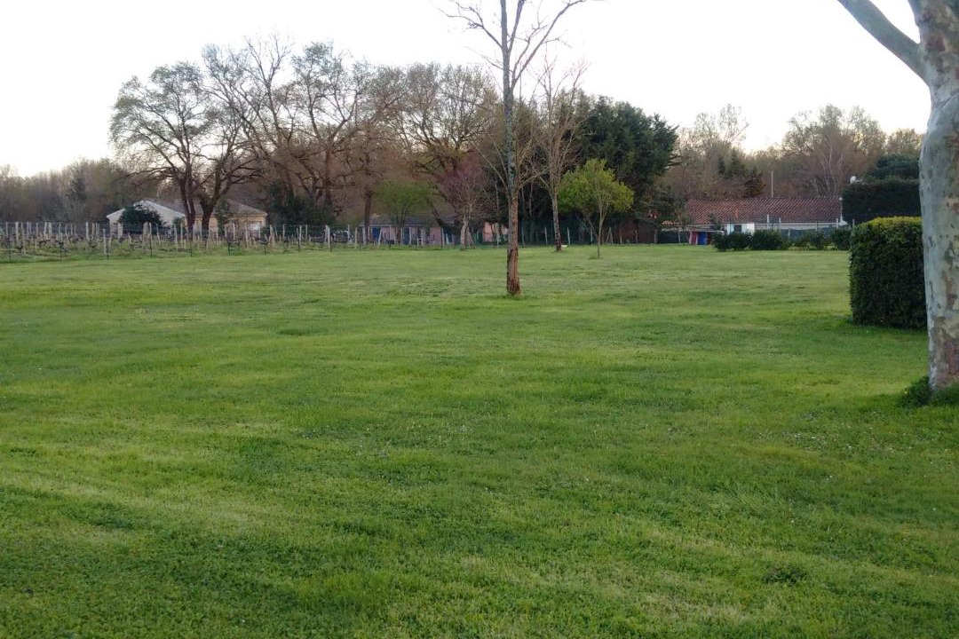 Photo of Others in Jau-Dignac-et-Loirac