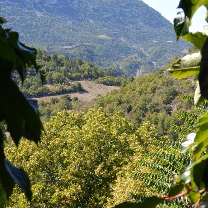 Photo of Others in Plaisians