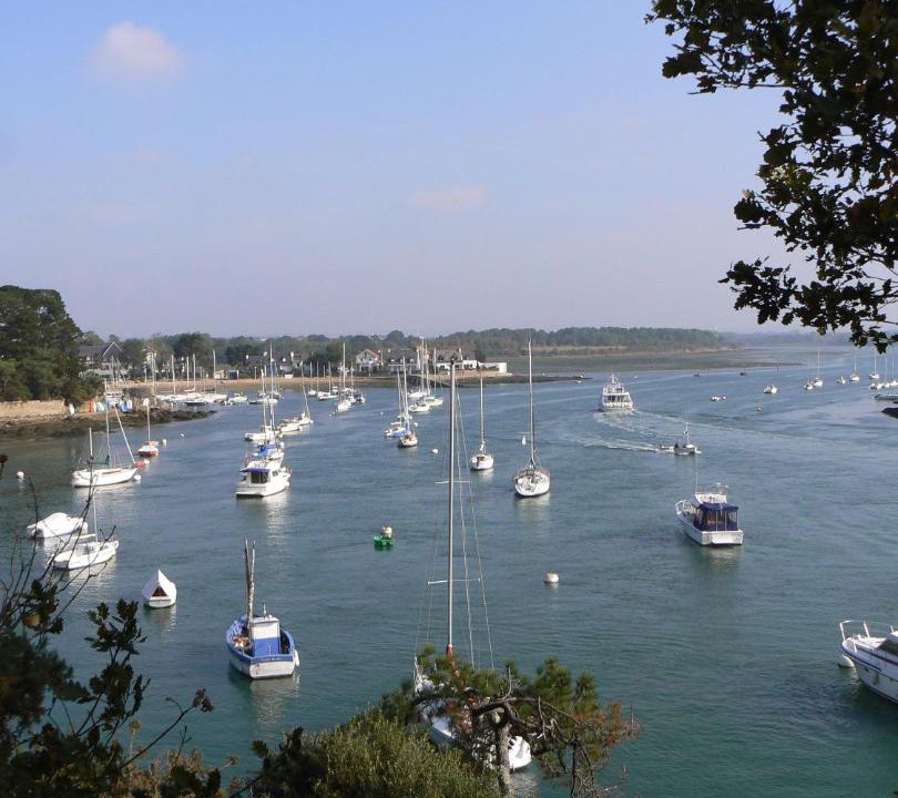 Photo of Others in Vannes
