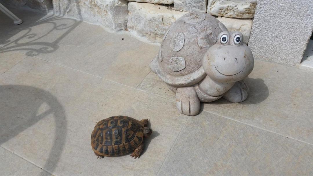 Photo of Others in Zadar