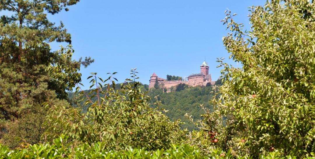 Photo of Others in Saint-Hippolyte