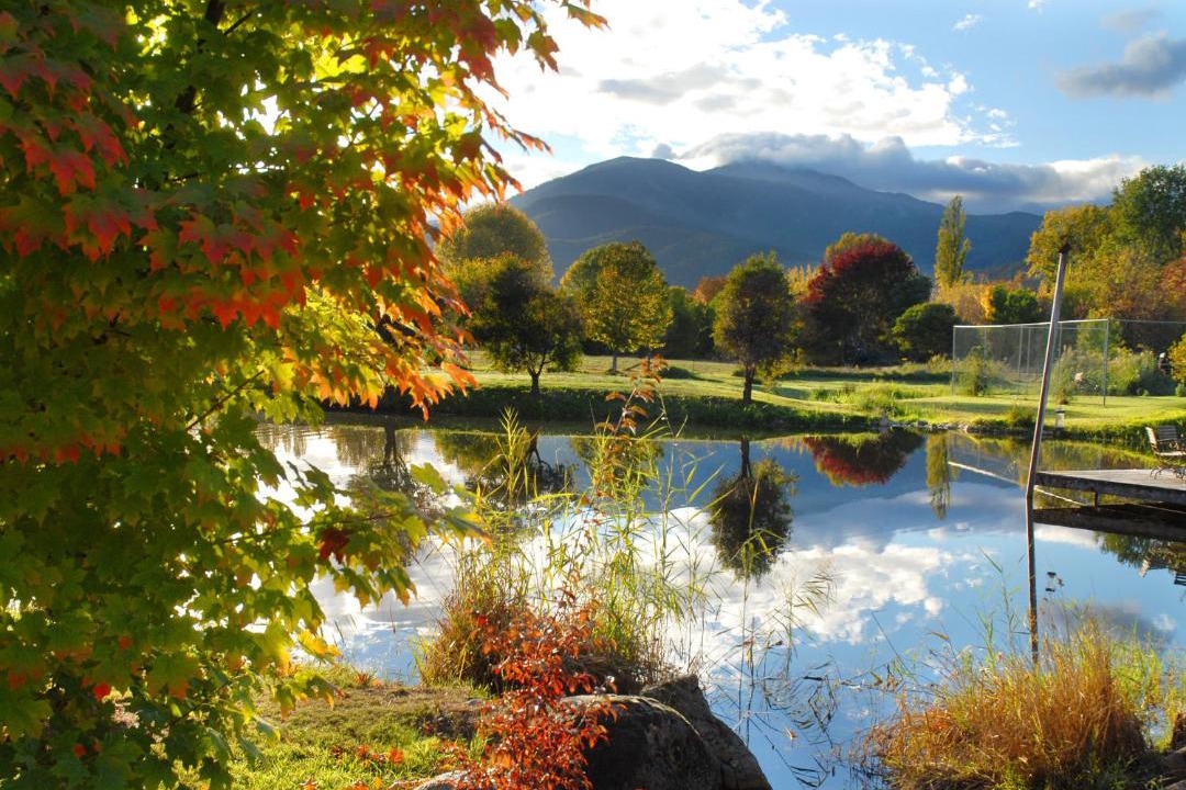 Photo of Others in Tawonga South