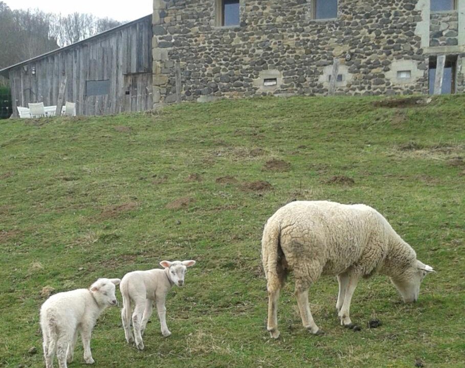 Photo of Others in Champagnac