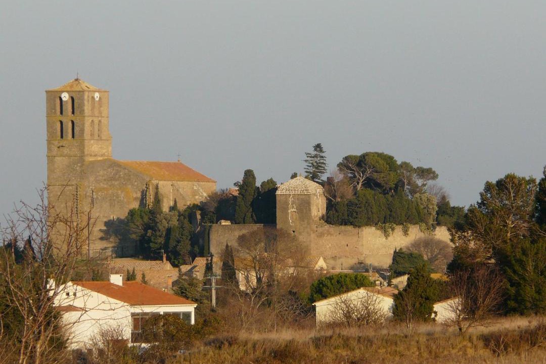 Photo of Others in Puicheric