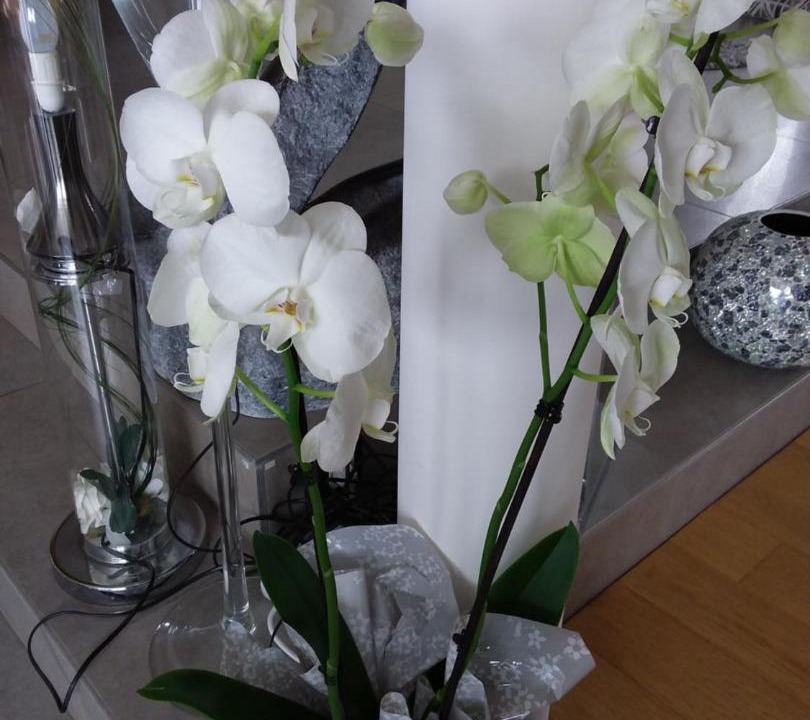 Photo of Others in Lassay-les-Chateaux