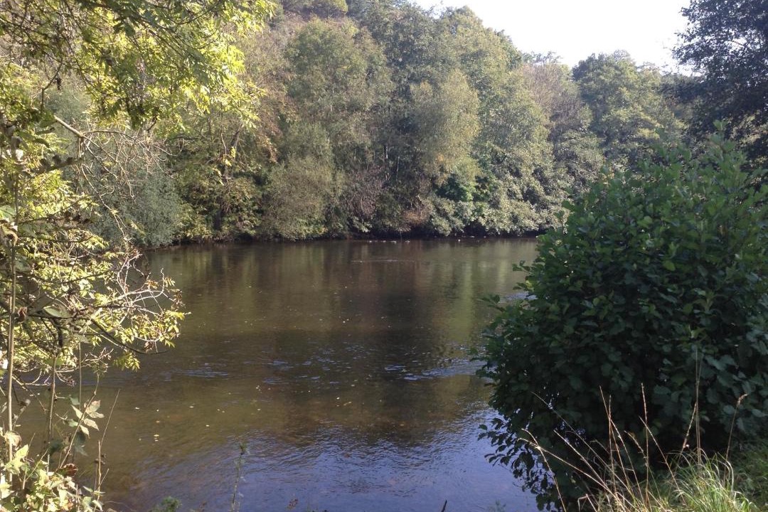 Photo of Others in Saint-Gal-sur-Sioule