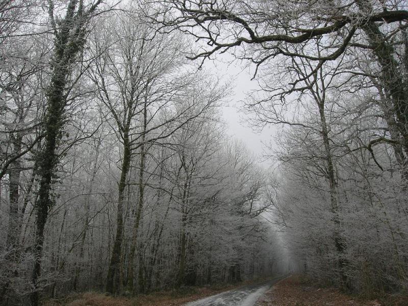 Photo of Others in Futeau