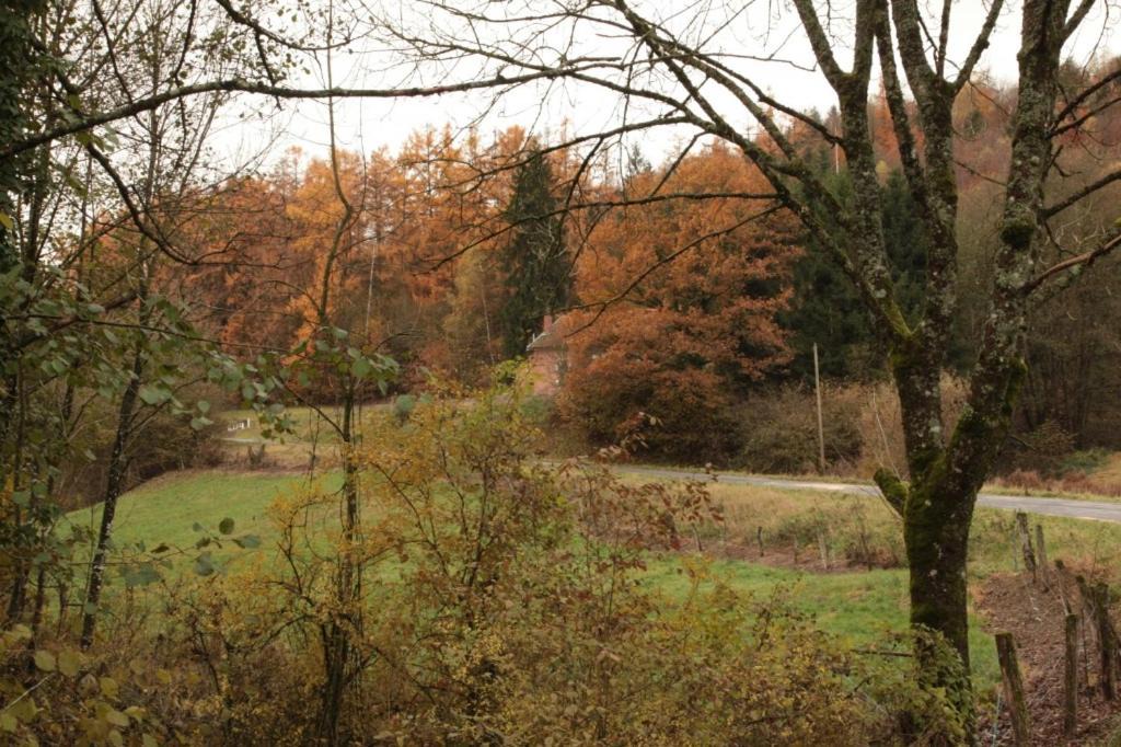 Photo of Others in Futeau