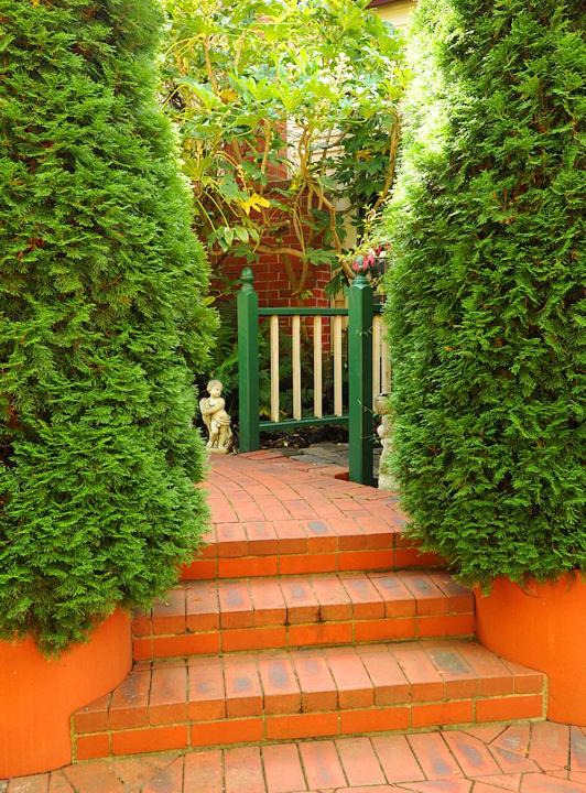 Photo of Others in Mount Dandenong