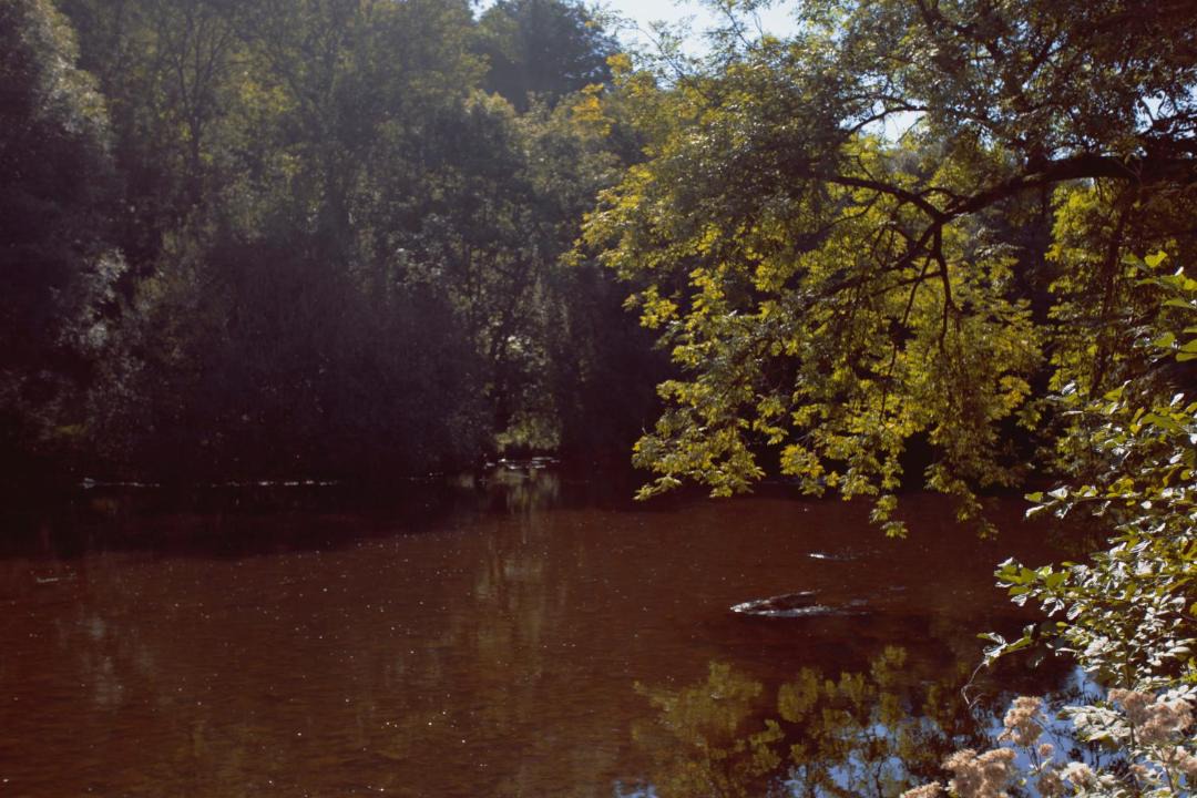 Photo of Others in Saint-Gal-sur-Sioule