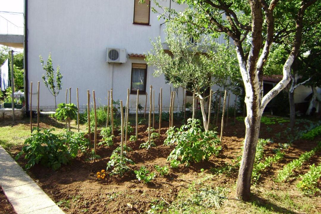 Photo of Buildings in Buzdohanj