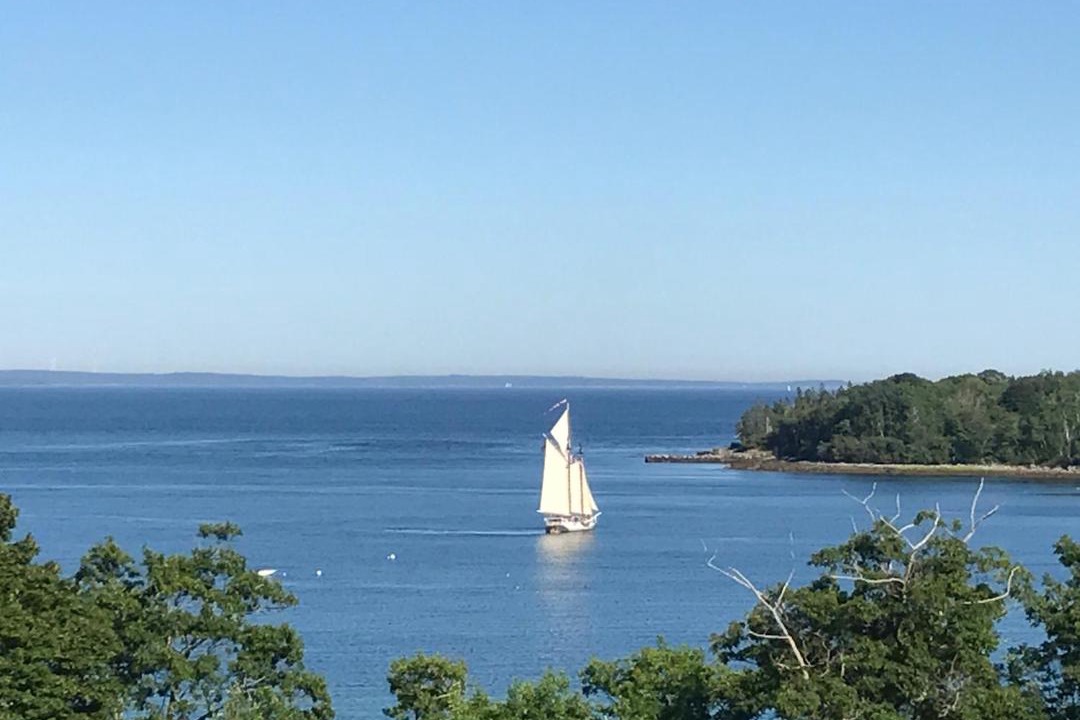 Photo of Others in Rockport