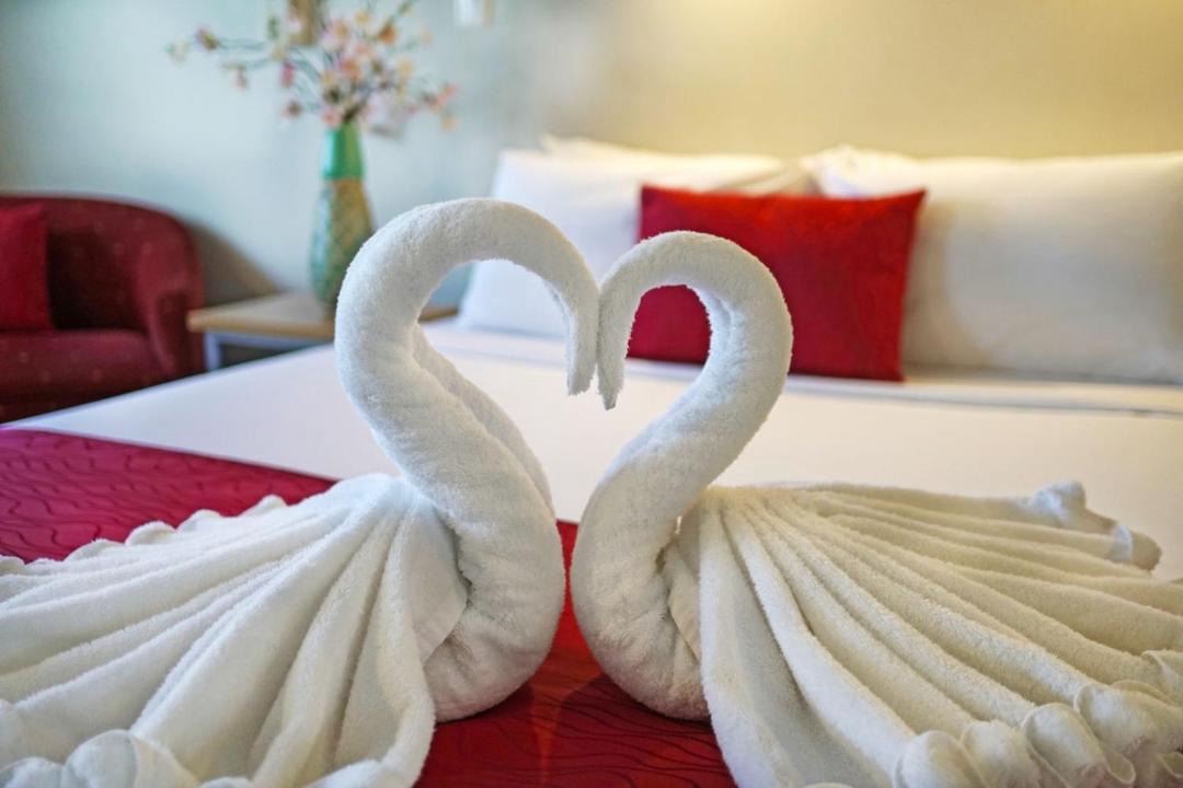 Photo of Others in Hamilton Lake