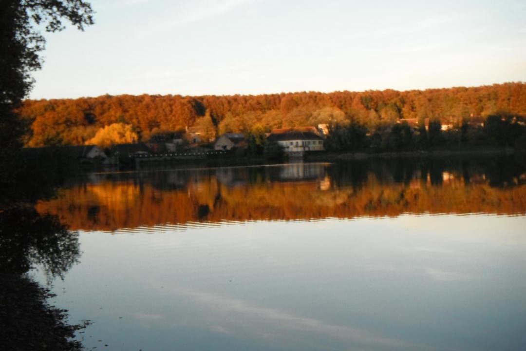 Photo of Others in Saint-Bonnet-Troncais