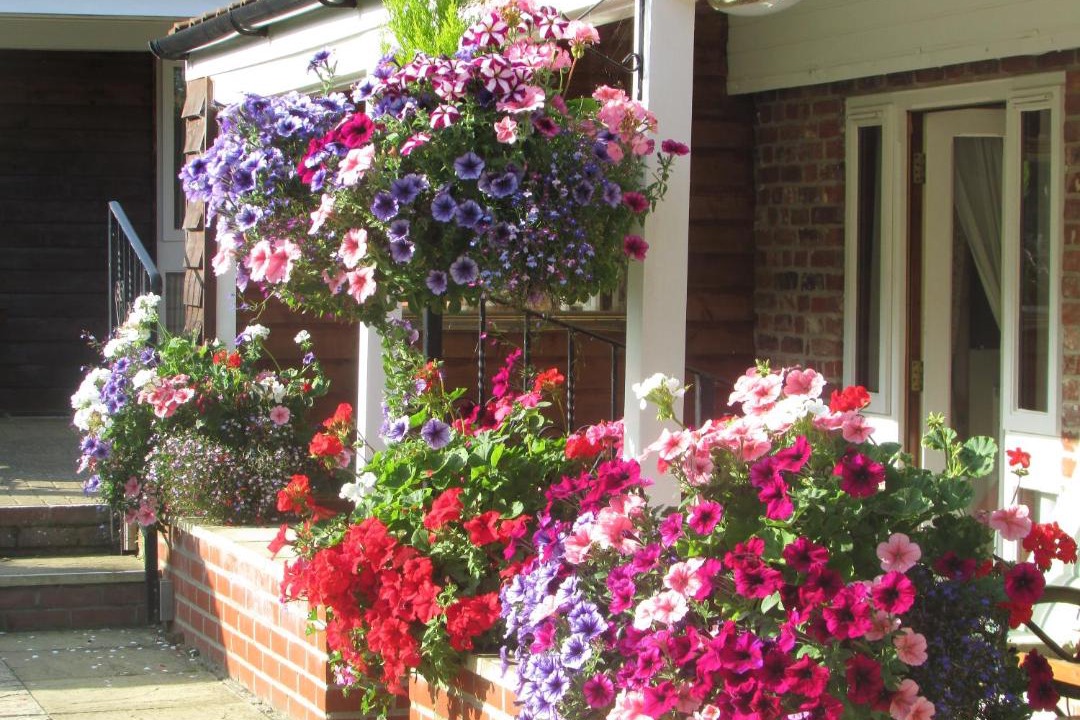 Photo of Patio Balcony in Fritton