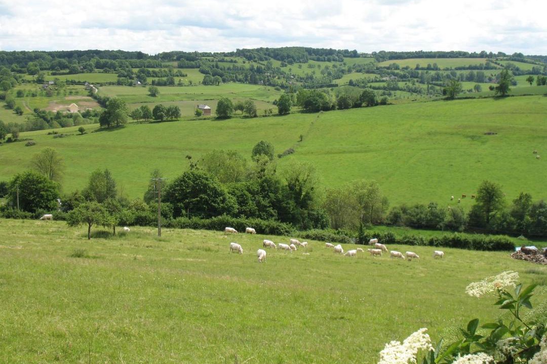 Photo of Others in Vimoutiers