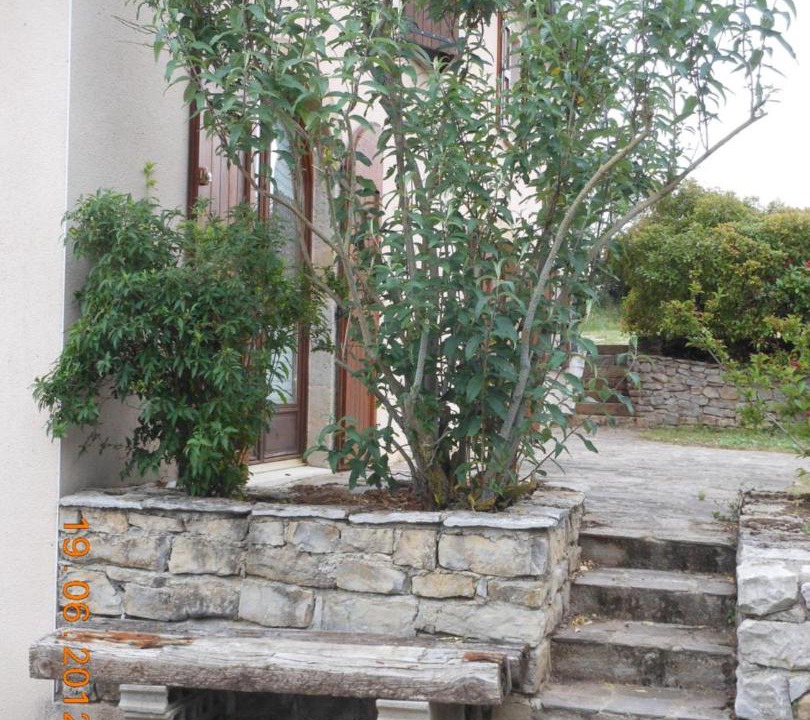 Photo of Others in Saint-Rome-de-Cernon
