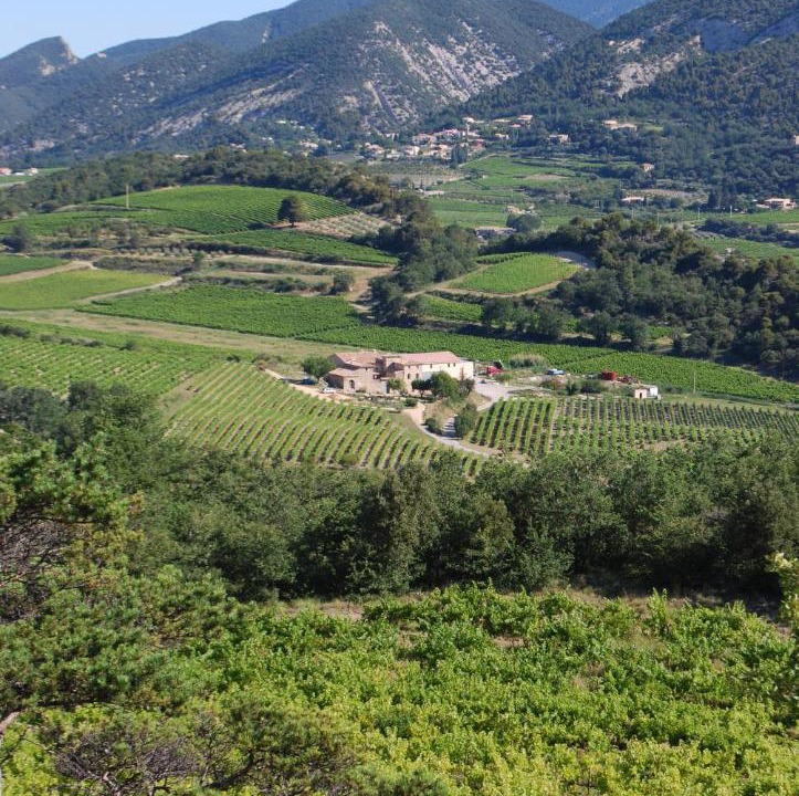 Photo of Others in Venterol