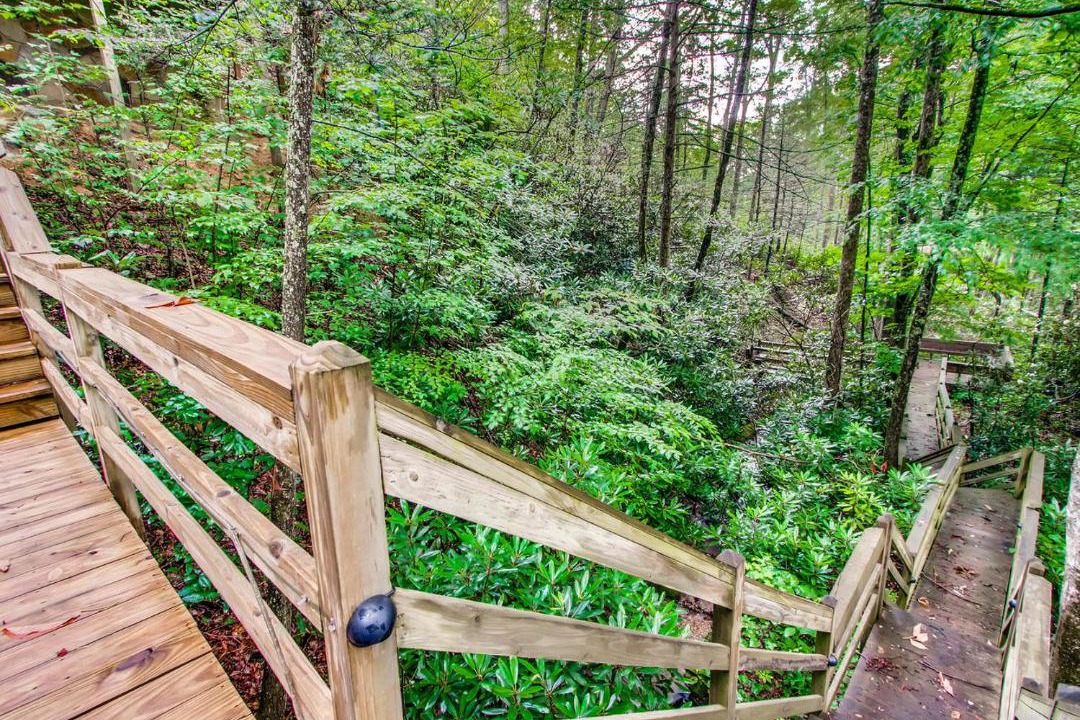 Photo of Others in Smoky Mountains
