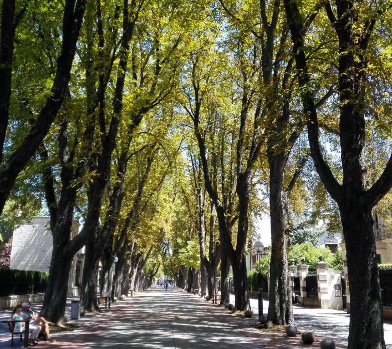 Photo of Outdoor in Vitoria-Gasteiz Old Town