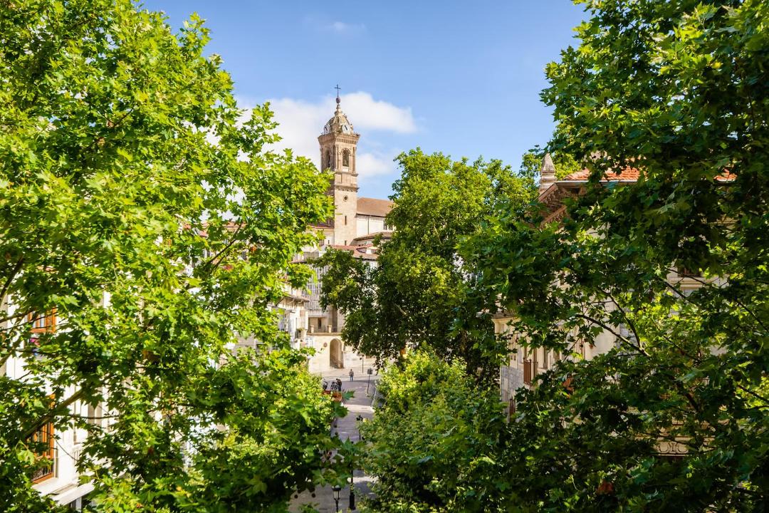 Photo of Others in Vitoria-Gasteiz Old Town