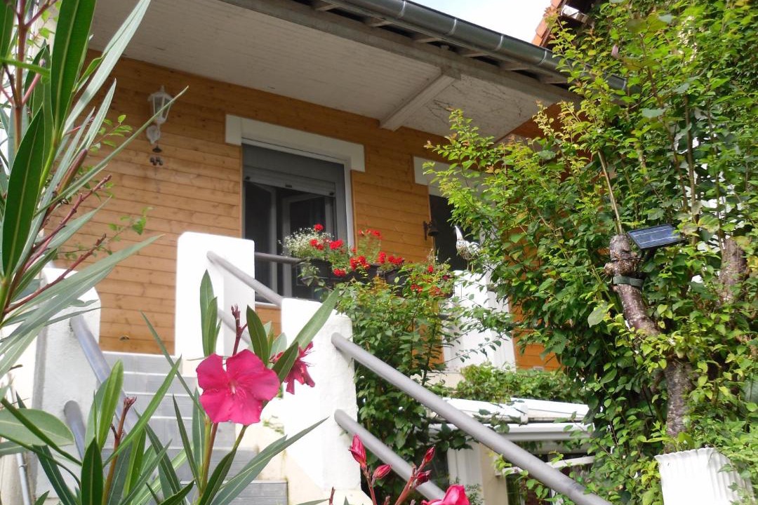 Photo of Others in Lourdes