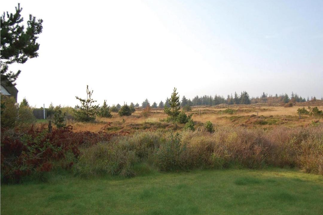 Photo of Outdoor in Kongsmark