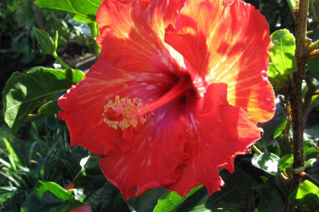 Photo of Others in Whitianga