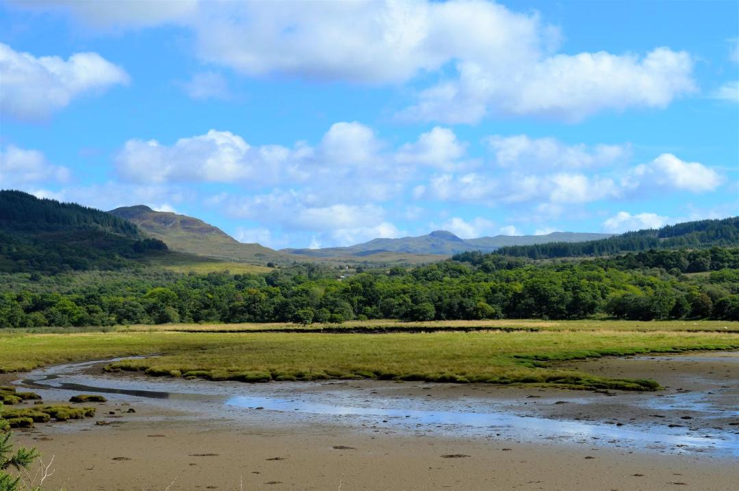 Photo of Others in Colintraive