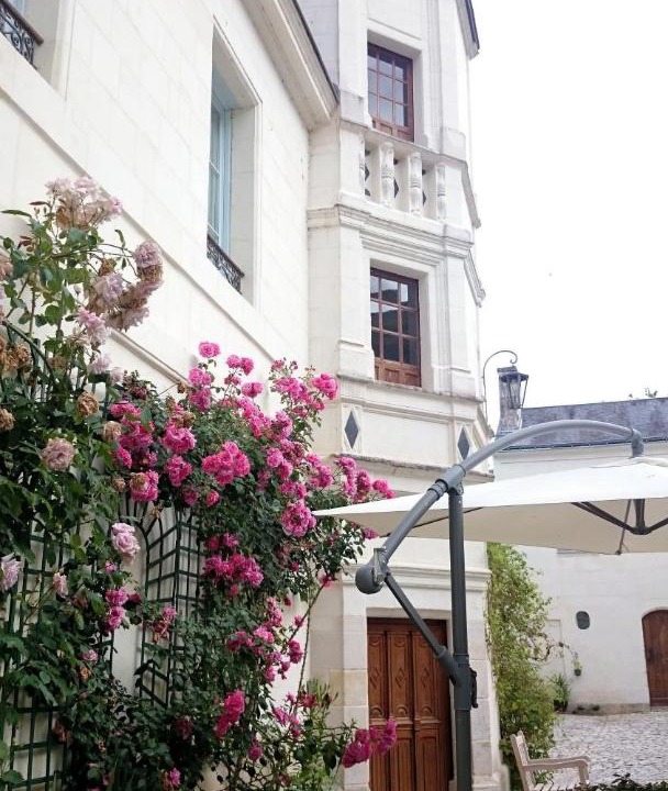 Photo of Others in Loches