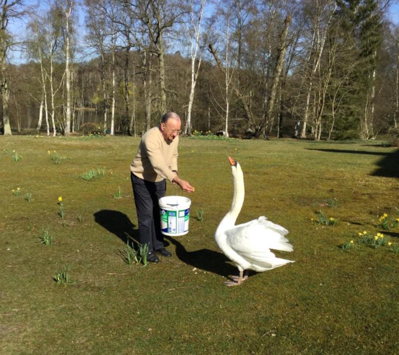 Photo of Others in Fere-en-Tardenois