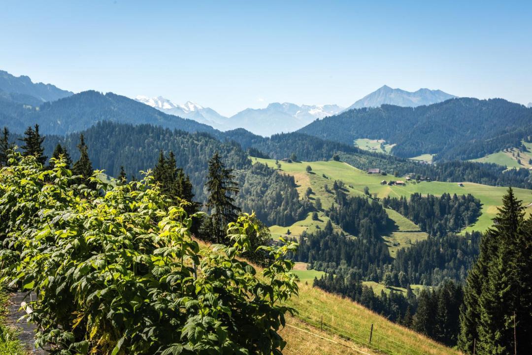 Photo of Outdoor in Eriz