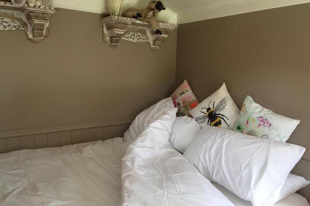 Photo of Others in Newport