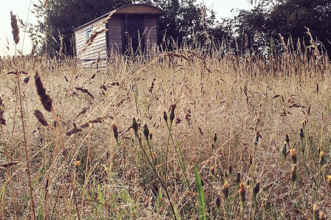 Photo of Others in Newport