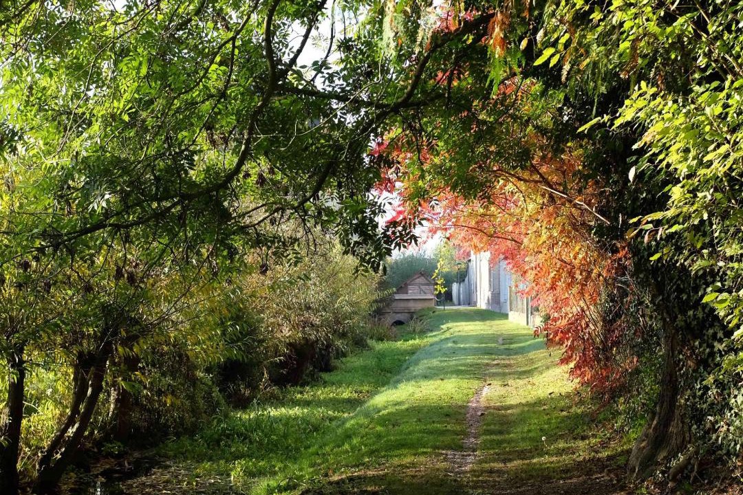 Photo of Others in Marigny-le-Chatel