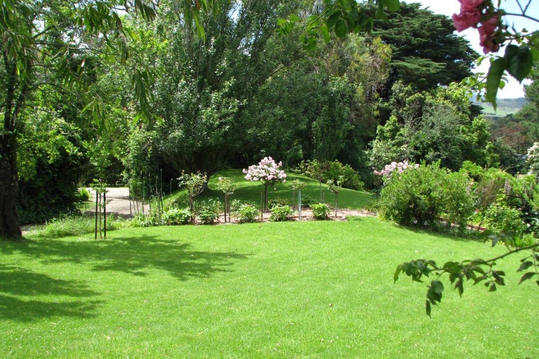 Photo of Others in Dixons Creek