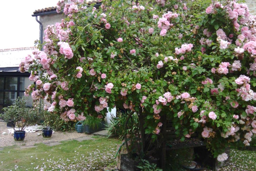 Photo of Others in Chabournay