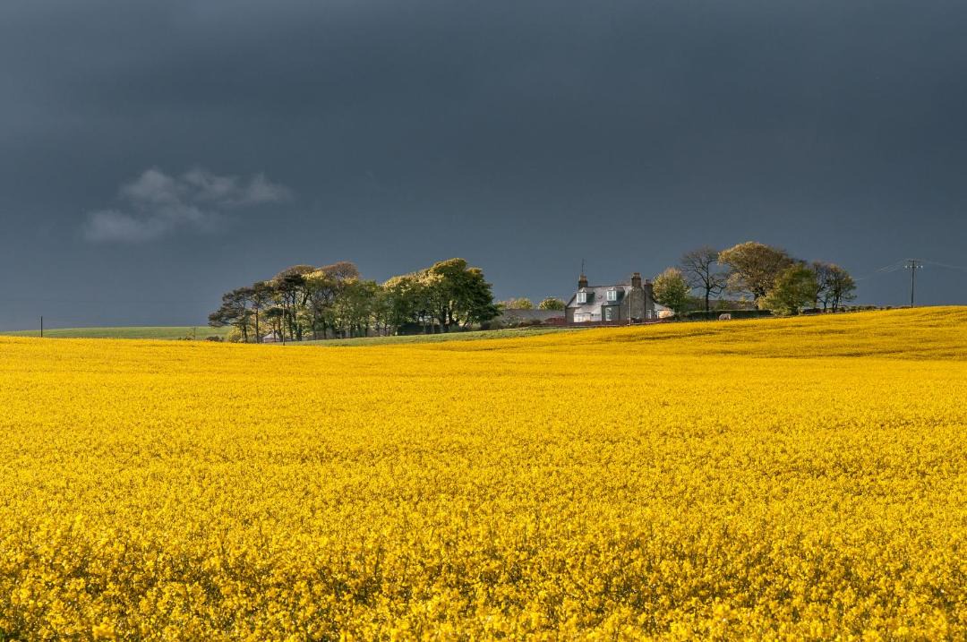 Photo of Others in Stonehaven