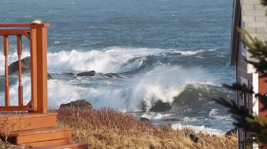 Photo of Patio Balcony in Sampson Cove