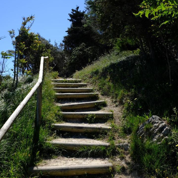 Photo of Others in La Franqui