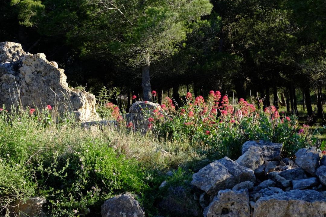 Photo of Others in La Franqui