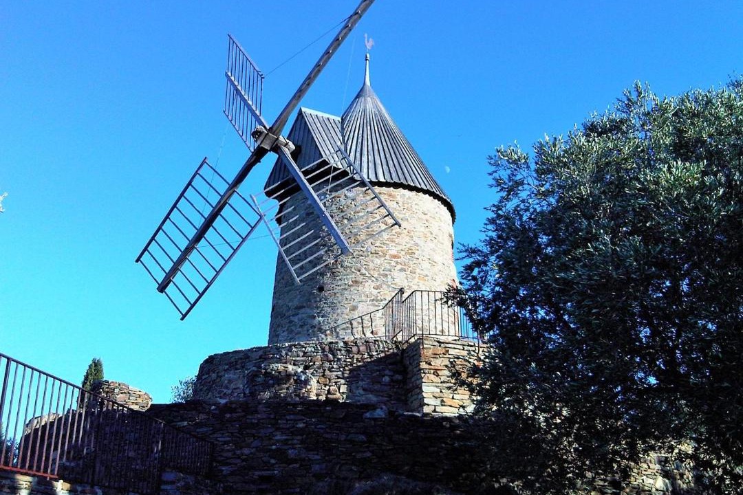 Photo of Buildings in Collioure