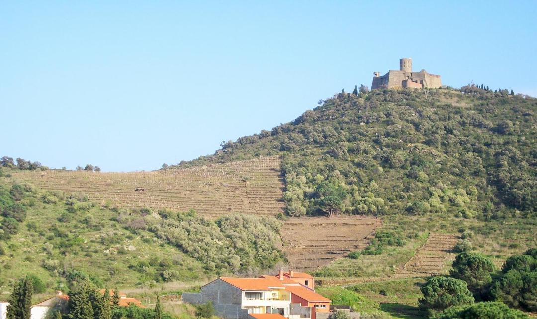 Photo of Others in Collioure